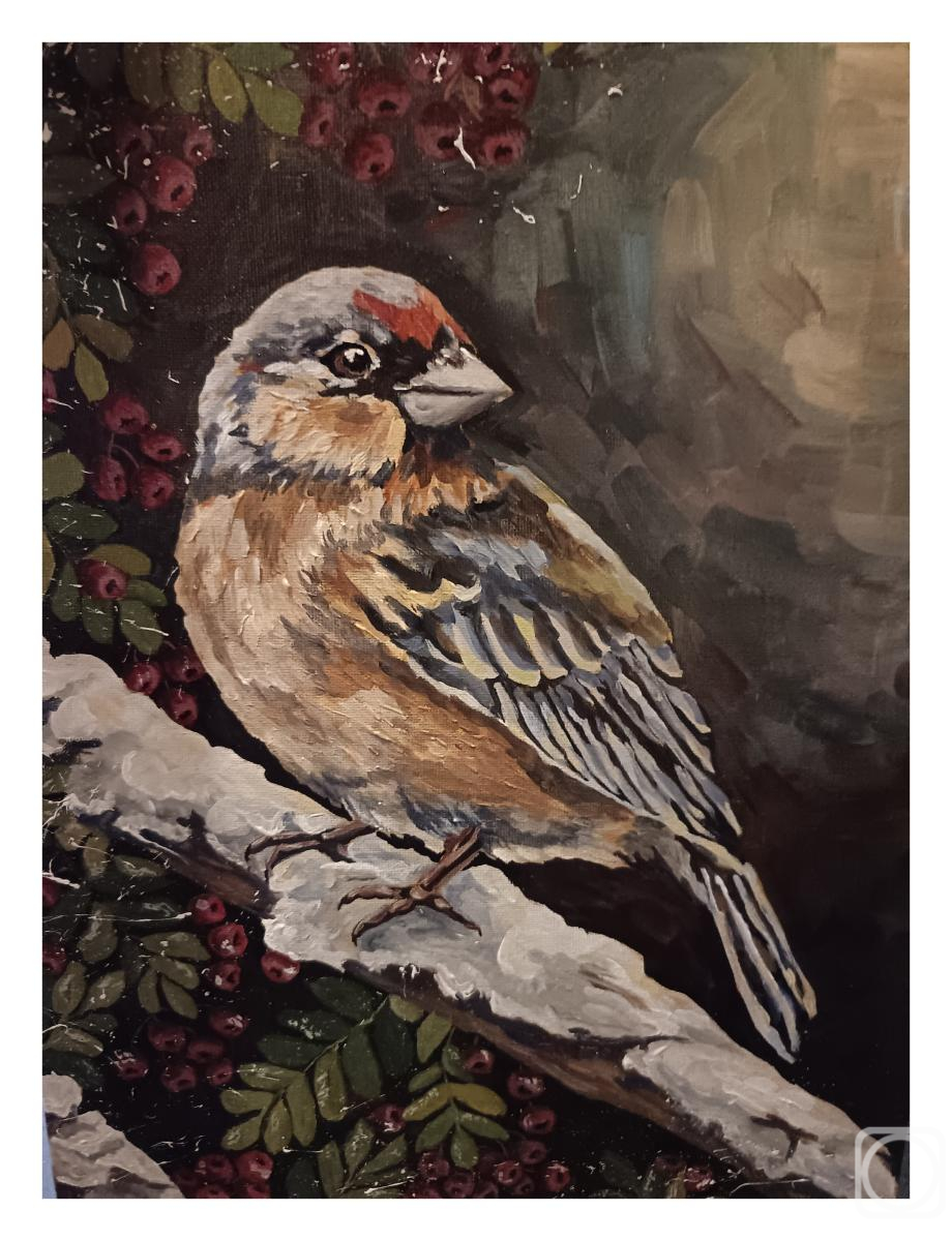 �������. �������� ����. ������ ����