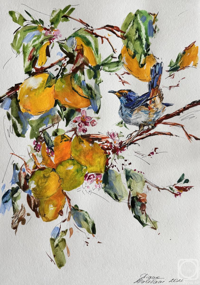 Malivani Diana. Lemon Tree