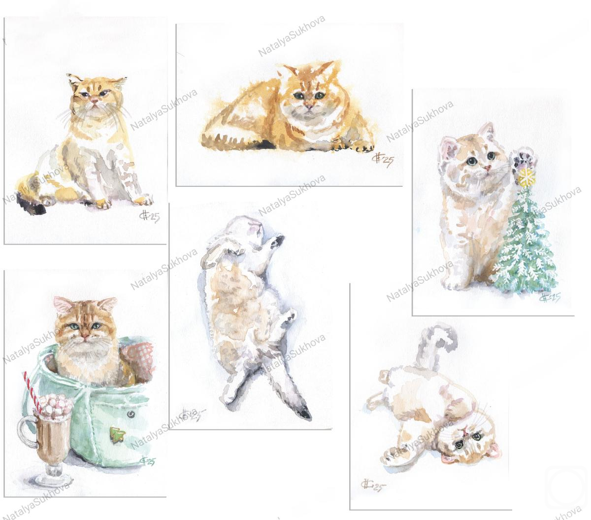 ������ �������. �������� � ��������. ����. ����� ���. ����� ���