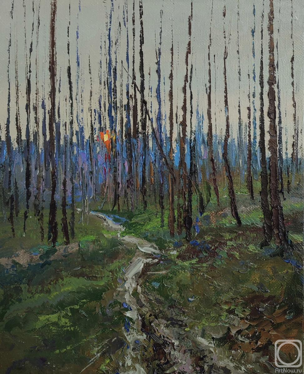 ������� ������ �� ������. ���������� �������. ���� � ������