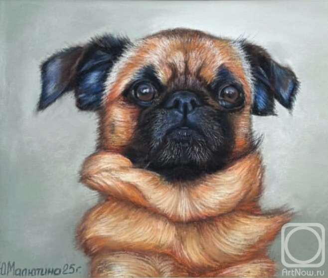 �������. �������� ����. �������