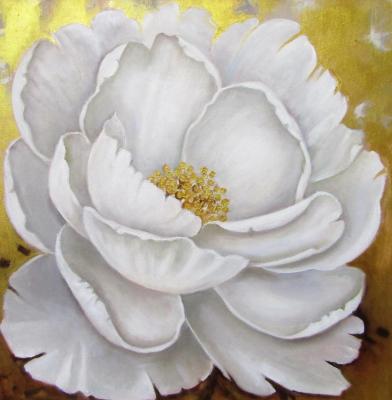 ����� ���� � ������. ��������� �����