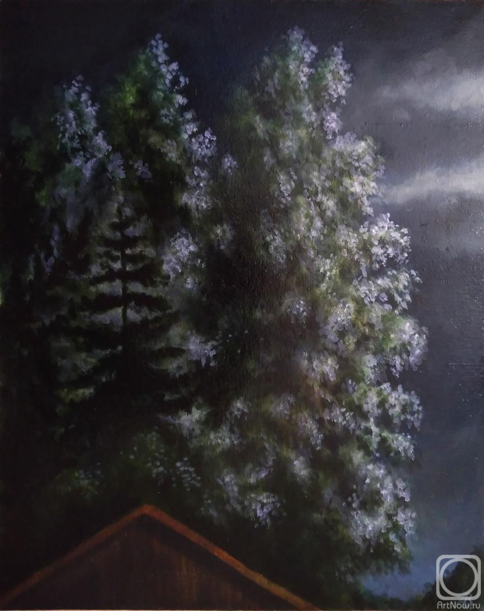 ������� ������ �� ������. ������� ��������. ������ ����, � ���� �������