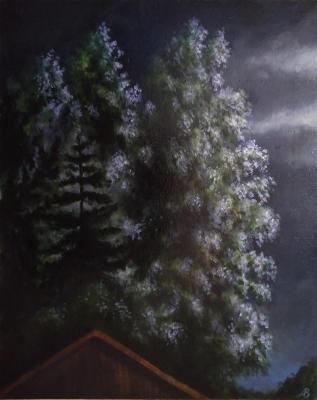 ������ ����, � ���� ������� (������� �� ����). ������� ��������