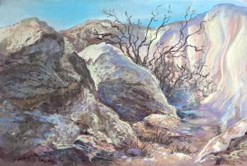 Pearl Canyon. Bozzhira. Shihova Yuliya