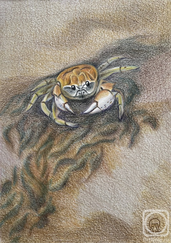 �������. �������� ������. ������. �������� ����