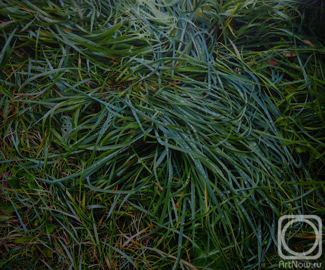 Kozlov Peter. Untitled