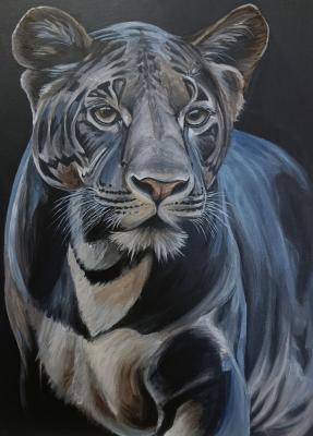 �������. ����������� �������