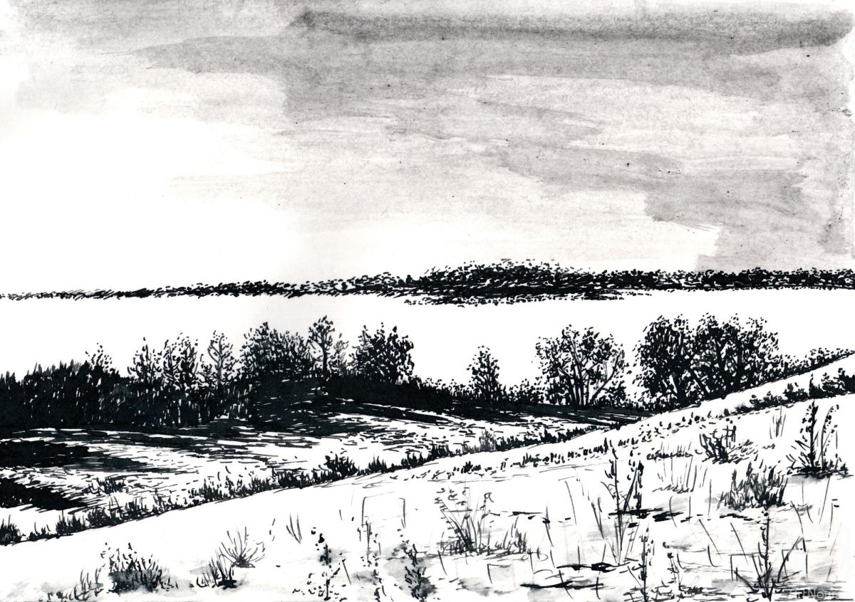 �������. ������� ��������. ����� ���� 29