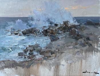 Autumn surf. Evening