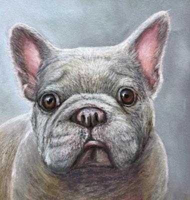 Untitled. Malyutina Yuliya