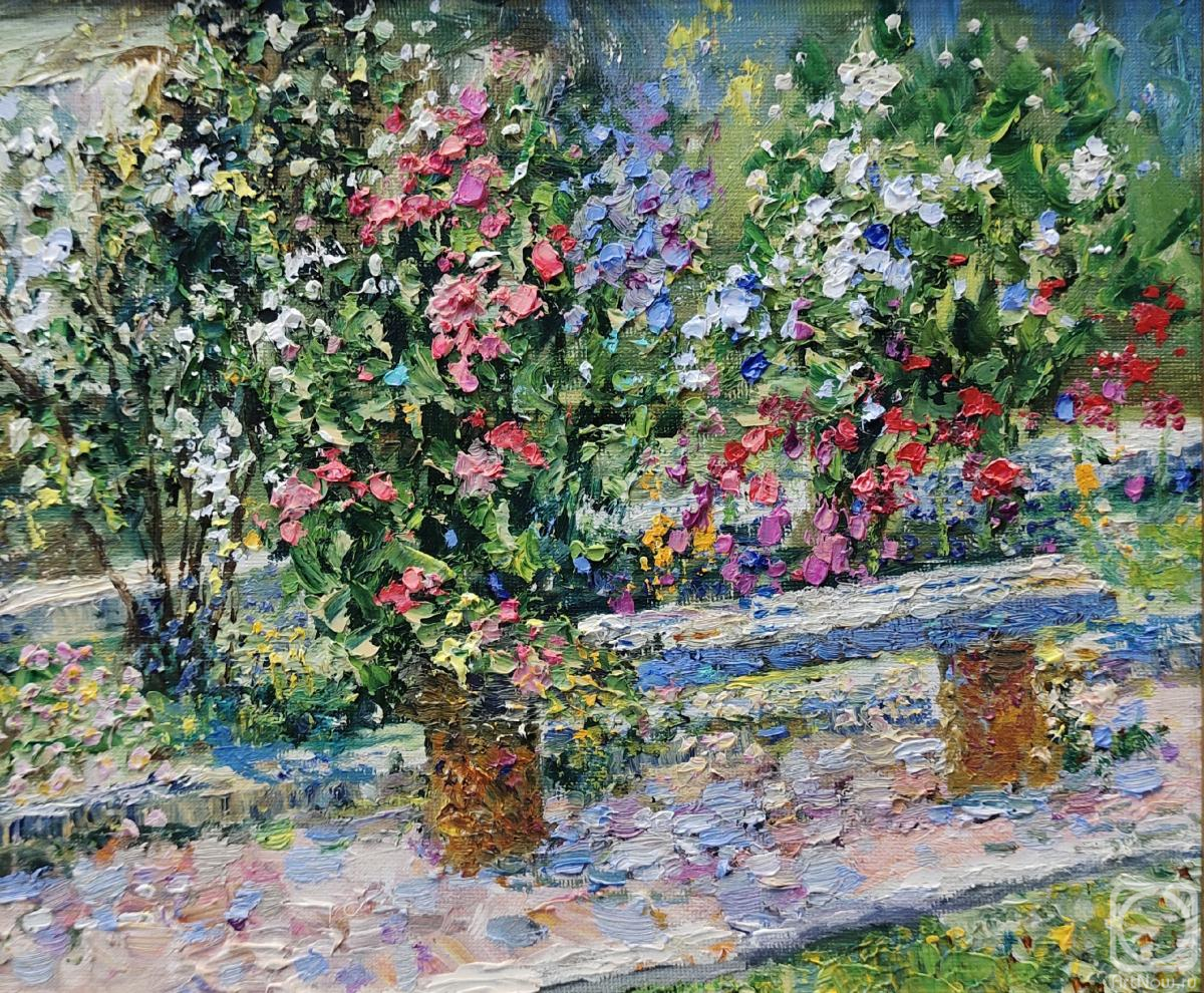 ������� ������ �� ������. �������� ������. ��������� �������