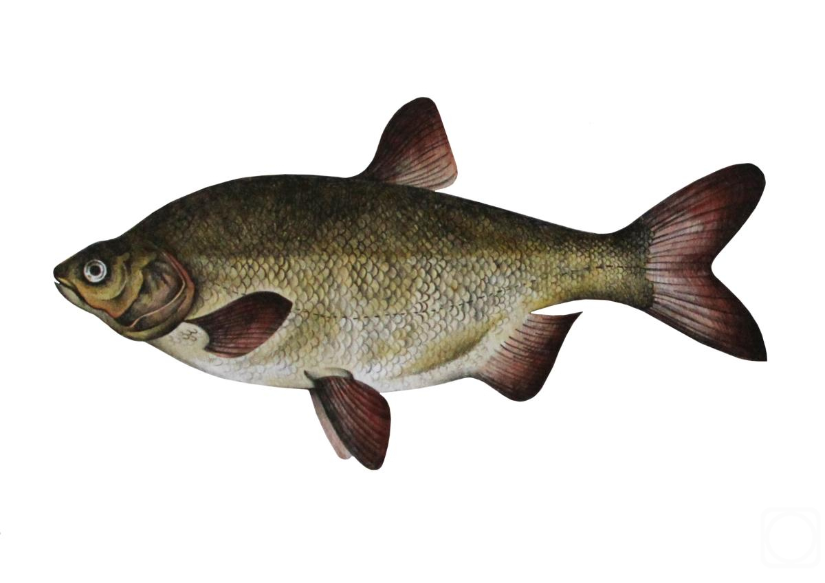 �������. ��������� ������. ���