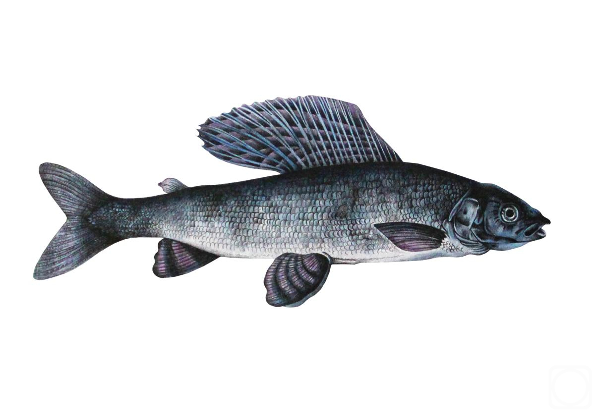 �������. ��������� ������. ������