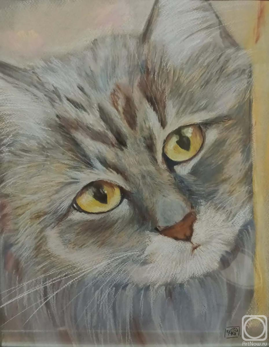 �������. ��������� ����. �����