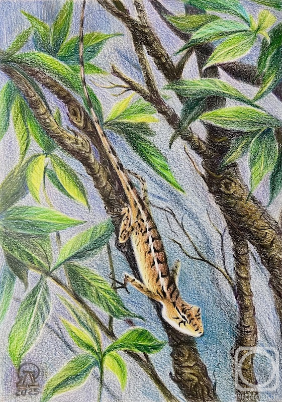 �������. �������� ������. ������. �������