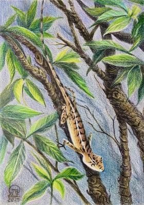 ������� �������. �������