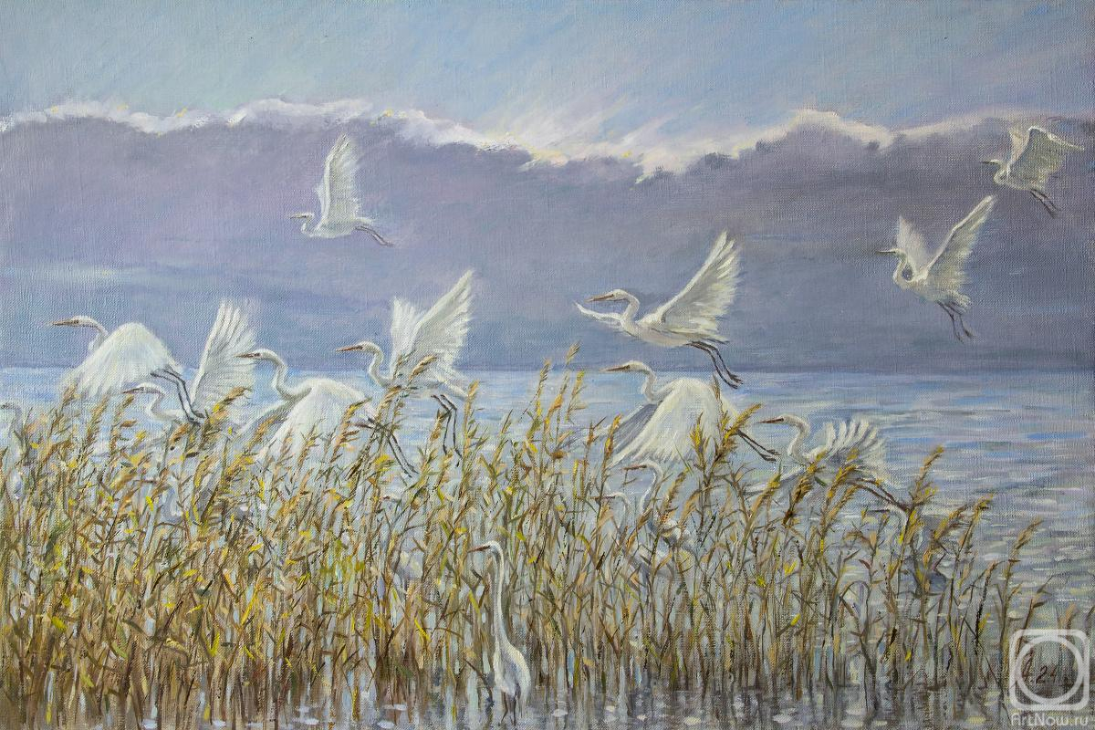 ������� ������ �� ������. ������� ������. ����� ���������