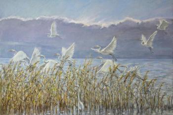 ����� ���������. ������� ������