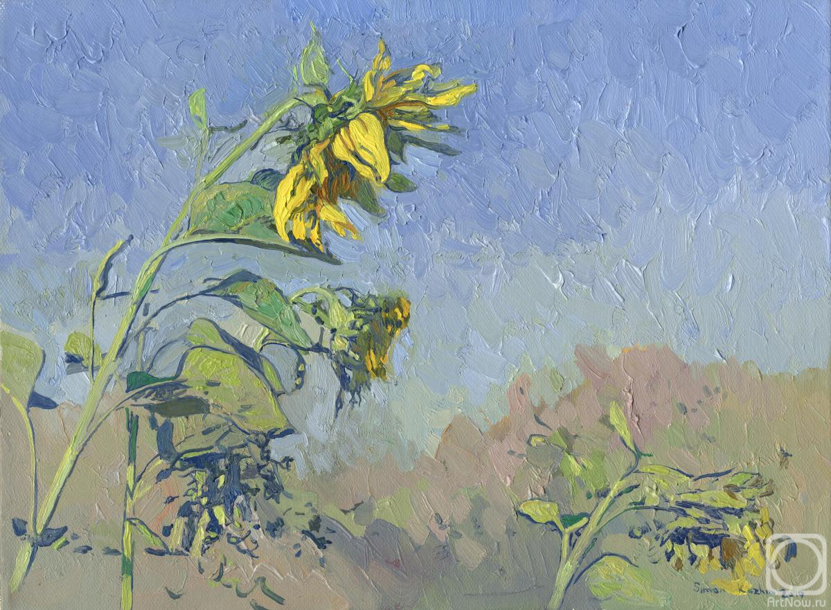 ������� ������ �� ������. ����� ����. ����������