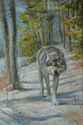 ������� ���������