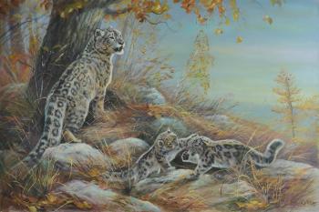 ������ �����. ���������� ����