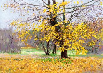 ���. ��������� ������. ����� ����