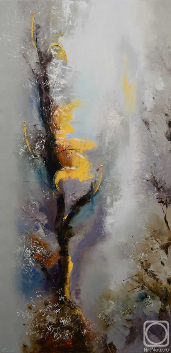 ������� ������ �� ������. �������� �����. ������ ���������