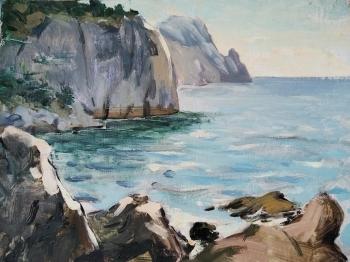 Fig Beach. Samsonenko Sergey