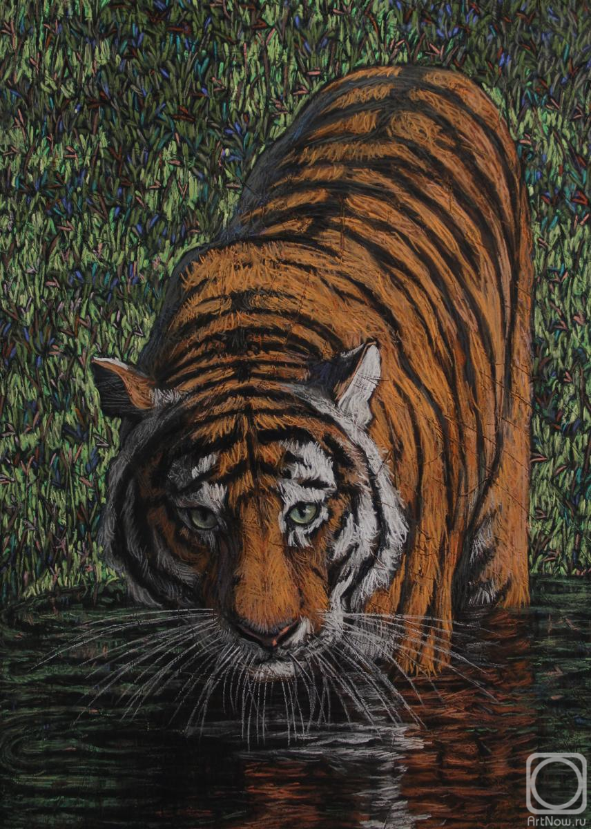 �������. ������� �������. ����