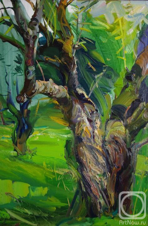 ������� ������ �� ������. ��������� �������. ������ ���