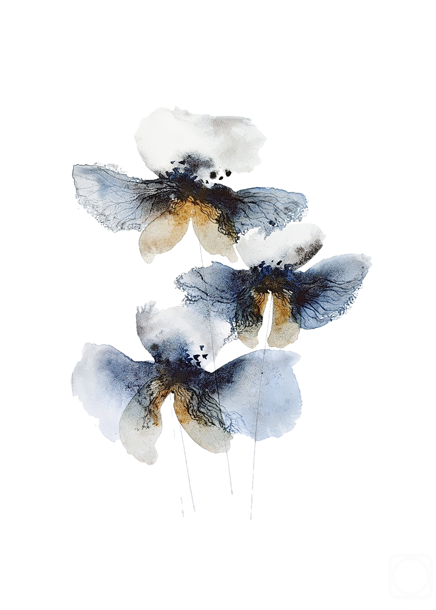 �������. ����������� �������. ��� ������