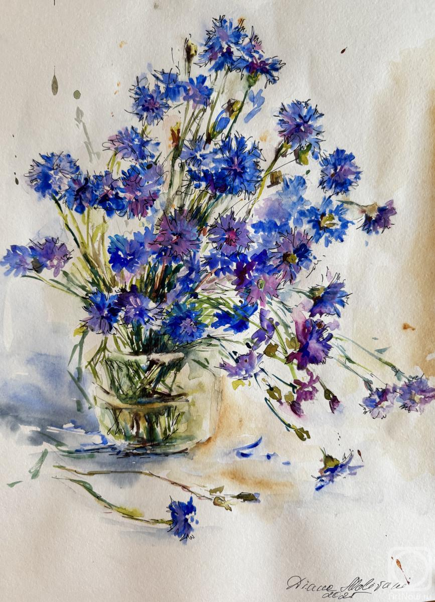 Malivani Diana. Cornflowers