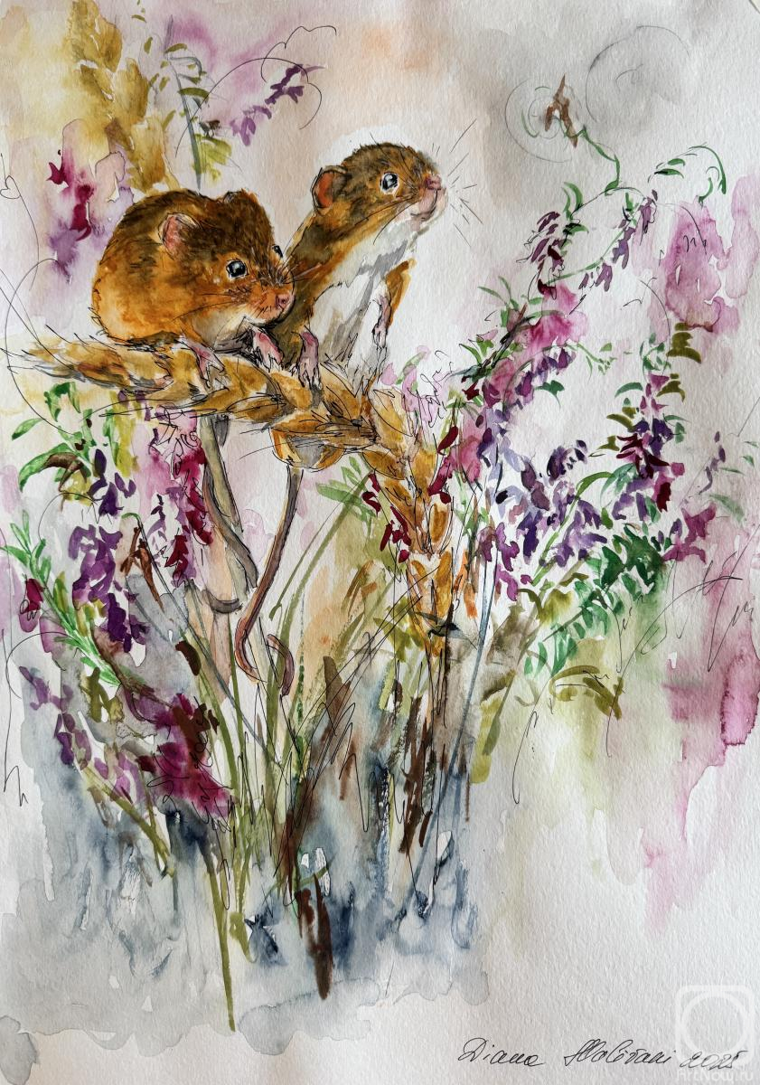 Malivani Diana. Dans l herbe