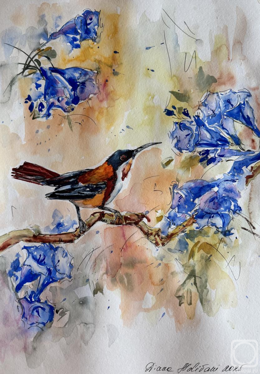 Malivani Diana. Petit oiseau