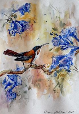 Petit oiseau. Malivani Diana