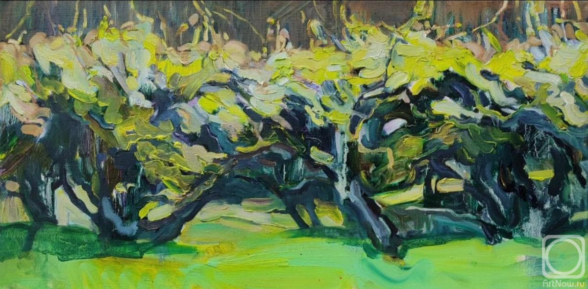 ������� ������ �� ������. ��������� ���������. ������ � ������������