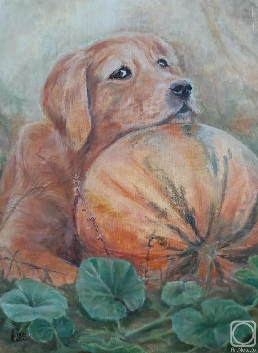 ������� ������ �� ������. ��������� ��������. � ��� �����