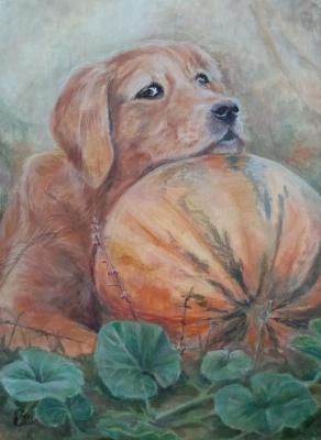 Untitled. Soloveva Svetlana