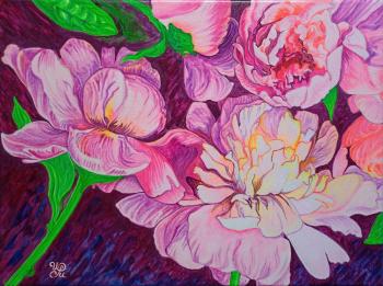 3 Spring Peonies. Mednikova Irina