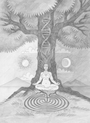 ������� ���ʻ