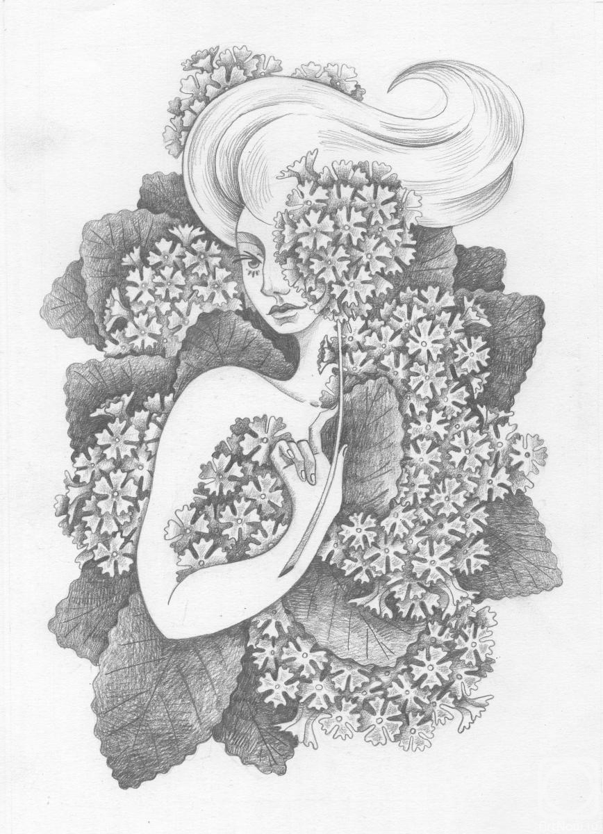 �������. ��������� ������. ������� � ������