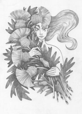 ������� ������������