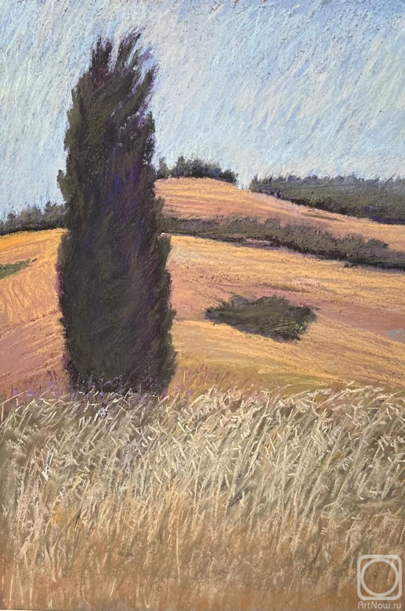 �������. �������� �������. ���������� ������� (1)