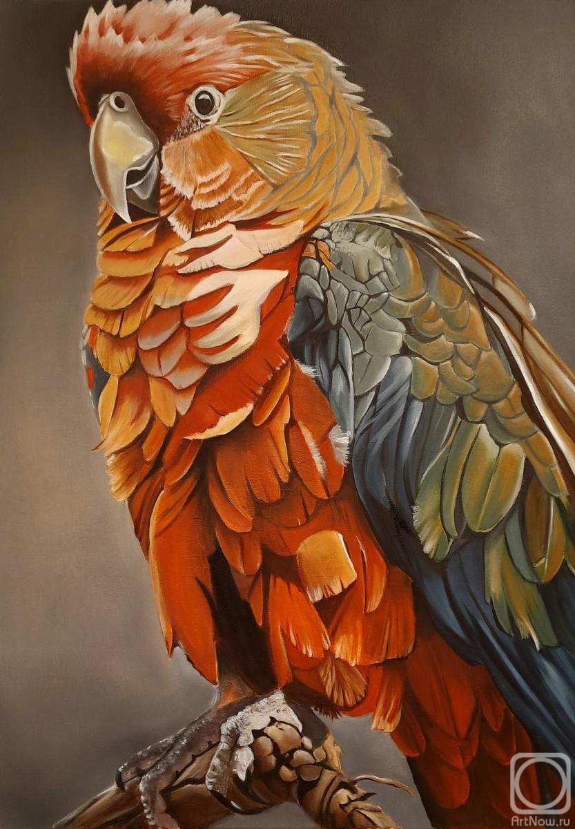 ������� ������ �� ������. ��������� �������. �������