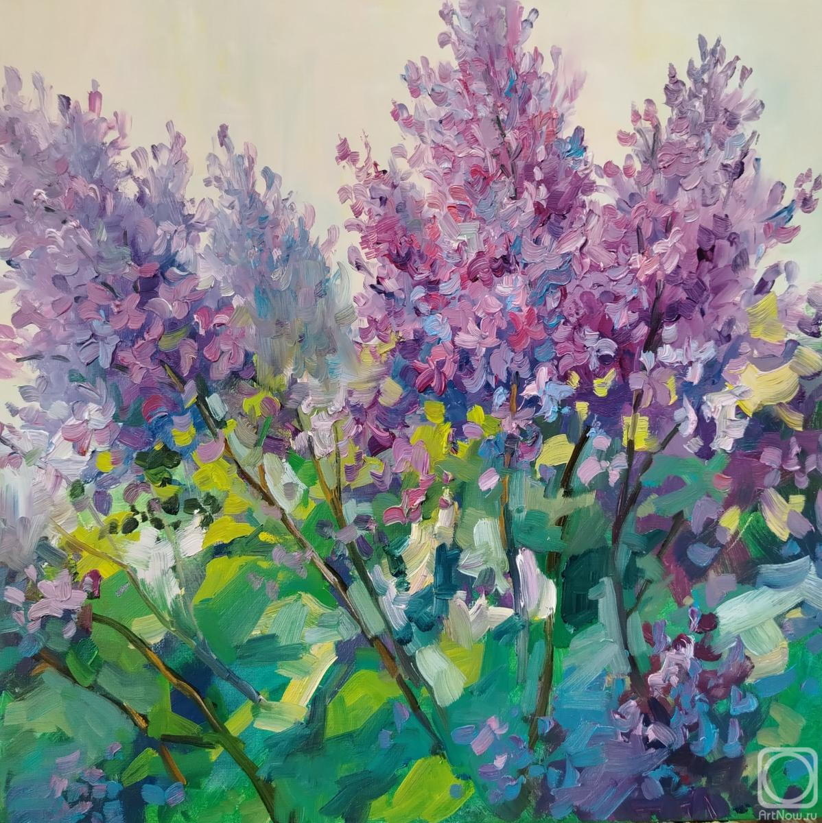 ������� ������ �� ������. ������� ���������. ������