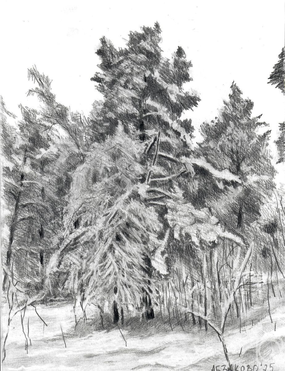 �������. ���������� �����. ��������