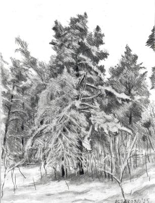 Untitled. Starodumov Pavel