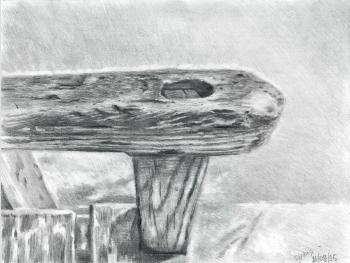 ����������� (�������� ������). ���������� �����