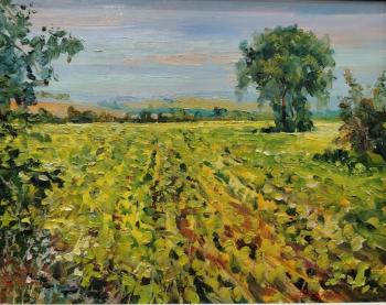 Untitled. Borodich Aleksandr